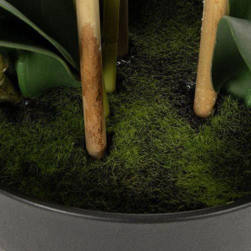 Artikel Kunstig orkidé i potte for en harmonisk atmosfære, hvid, 60 cm