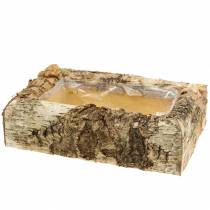 Artikel Planter birch 30cm x 20cm H8cm