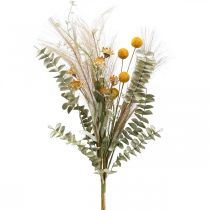 Artikel Kunstige blomster Craspedia fjer græs eukalyptus 55cm bundt