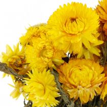 Artikel Strawflower gule tørrede tørrede blomster dekorative bundt 75g