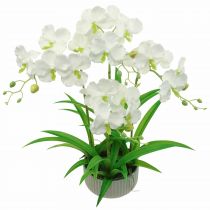 Artikel Kunstige orkideer kunstige blomster i en potte hvid 60cm