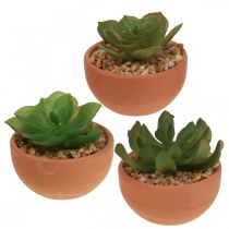 Artikel Kunstige planter i potter kunstige sukkulenter H9cm 3stk
