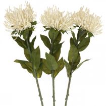 Artikel Nålepude kunstige blomster eksotiske Protea Leucospermum creme 73cm 3 stk.