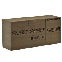 Oasis NatureSource Maxlife Blomsterskum Mursten Brun 23×11×7,5 cm 1 stk.