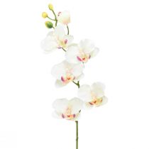 Artikel Orchid Phalaenopsis kunstig 6 blomster creme pink 70cm