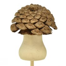 Artikel Blomsterprop kegle svamp dekorativ prop Advent 4,5cm 12stk