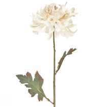 Artikel Krysantemum Kunstige Dekorative Blomster Creme L72cm 2stk