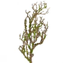 Dekorativ gren med mos kunstig efterårsdekoration grågrøn L78cm