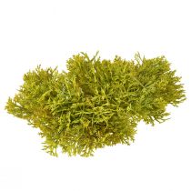 Artikel Dekorativ mos kunstig grøn brun – mospude 10/12/14cm 3 stk.
