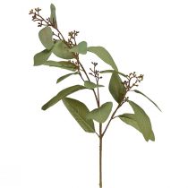 Artikel Eucalyptus gren kunstig dekorativ gren grøn kunstig gren 60cm