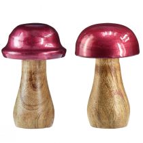 Artikel Træsvampe dekorative svampe træ rød glans Ø6cm H10cm 2stk.