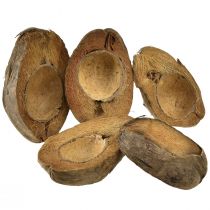 Artikel Kokos som planteskål naturlig plantepotte 20cm 5 stk