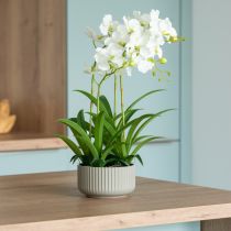 Artikel Kunstige orkideer kunstige blomster i en potte hvid 60cm