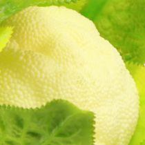 Artikel Kunstig blomkål grøntsagsdekoration hvid grøn Ø9cm H15cm