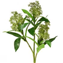 Artikel Kunstige blomster grønne Skimmia japonica Skimmie 45cm 2stk