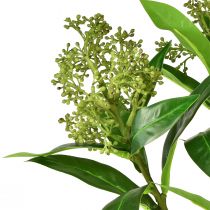 Artikel Kunstige blomster grønne Skimmia japonica Skimmie 45cm 2stk