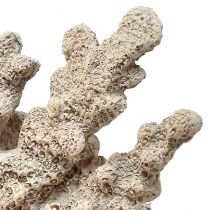 Artikel Detaljeret koraldekoration lavet af polyresin i grå - 26 cm - maritim elegance til dit hjem