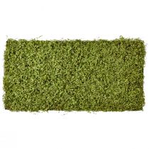 Mosemåtte kunstmos til mosbillede grøn 100×50cm