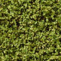 Artikel Mosemåtte kunstmos til mosbillede grøn 100×50cm