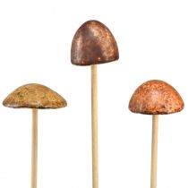 Artikel Rustikke keramiske svampe på pind - stemningsfuld efterårsdekoration 4cm 6 stk.