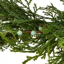 Artikel Granguirlande Thuja med frugter dekorativ bøjle grøn L175cm