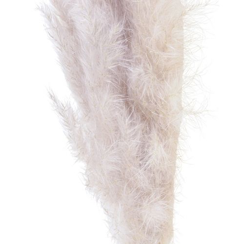 Floristik24 Pampas græs dekoration tørret naturligt tørt blomsterdekoration 100cm