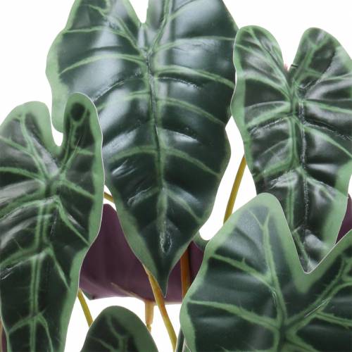 Artikel Alocasia pil bladgrøn, violet kunstplante H48cm