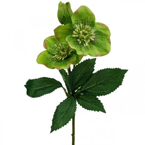 Artikel Julerose fastelavnsrose hellebore kunstige blomster grøn L34cm 4 stk