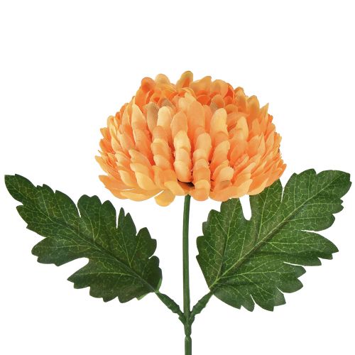 Floristik24 Krysantemum orange Ø7cm L18cm 1 stk