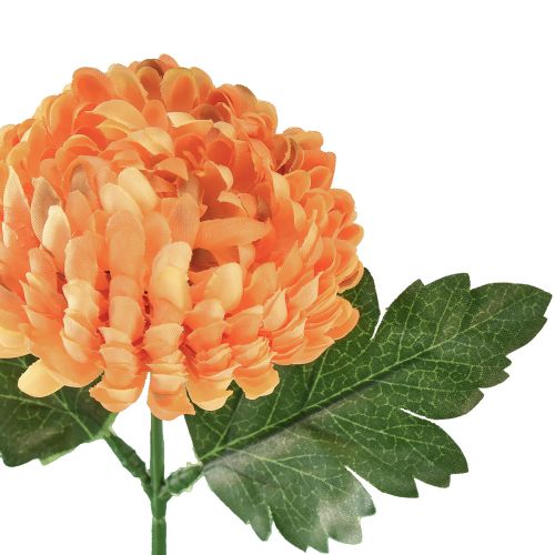 Artikel Krysantemum orange Ø7cm L18cm 1 stk