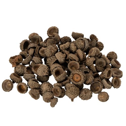 Artikel Naturlige agernhatte, dekorative skåle til efterår og advent, 2 cm, 300 g