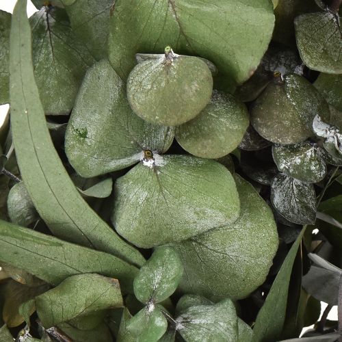 Artikel Naturlig eukalyptuskrans Ø35 cm konserveret duftende dekoration