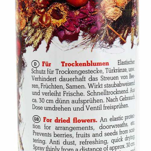 Floristik24 Flora Dry Fix Spray 400ml