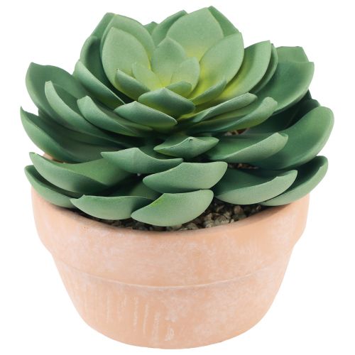 Artikel Sukkulent plante i potte Echeveria kunstgrøn Ø15cm