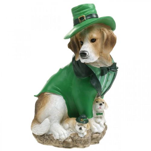 Floristik24.dk i hat St. Patrick&#39;s Day Hund i jakkesæt Havedekor Hund H24,5 cm