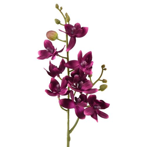Floristik24 Lille orkidé Phalaenopsis kunstig blomst mørk lilla 30cm