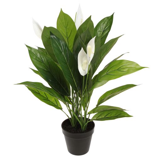 Kunstig potteplante Single Leaf Peace Lily Grøn Hvid 55cm