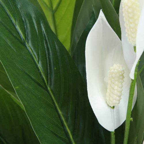 Artikel Kunstig potteplante Single Leaf Peace Lily Grøn Hvid 55cm