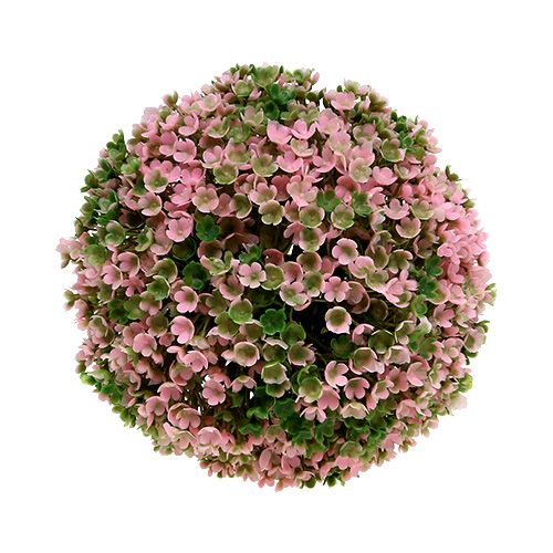 Dekorativ kugle pink grøn kugleplante Ø15cm 1 stk