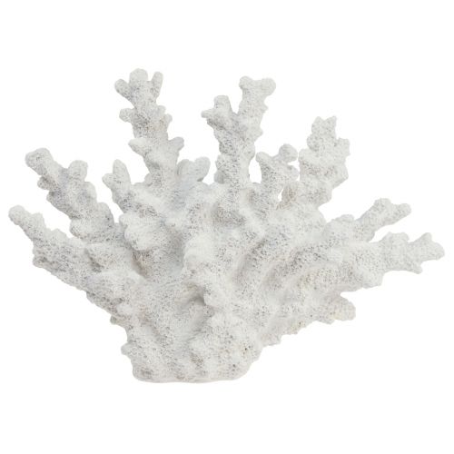 Floristik24 Maritim dekoration koral polyresin hvid 18,5×26cm