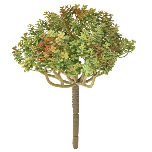Artikel Mini sukkulent kunstig grøn kunstig plante med stilk H23cm