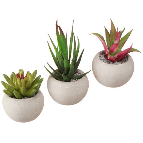 Mini sukkulenter i potte Kunstige planter Dekoration Ø6,5cm 6stk