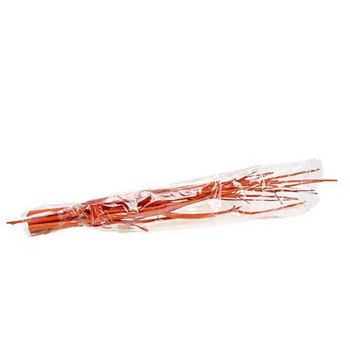 Floristik24 Mitsumata grene orange 34-60cm 12stk