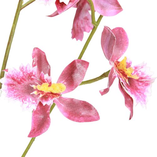 Artikel Oncidium Kunstige Orkideer Dekoration Pink Violet 93cm 2stk