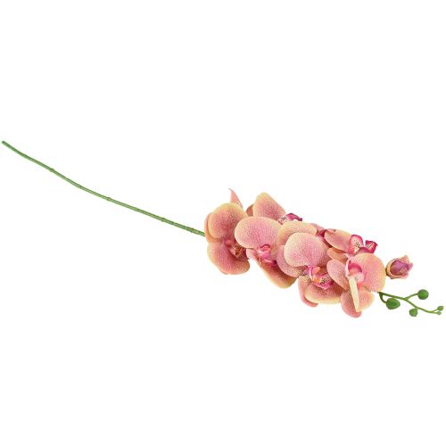 Artikel Orkidé Phalaenopsis kunstig 9 blomster pink vanilje 96cm