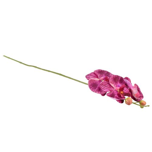 Artikel Orkidé flammet kunstig Phalaenopsis lilla 72cm