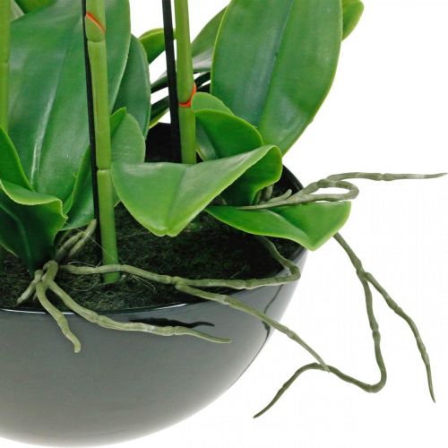 Floristik24 Kunstige orkideer i potte hvid kunstig plante 63cm