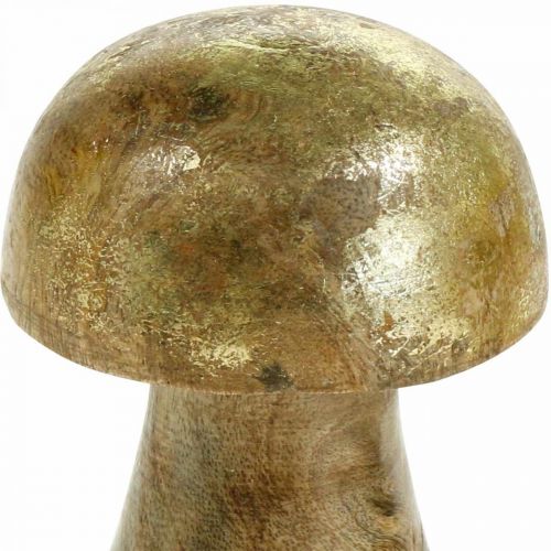 Floristik24 Champignon mangotræ guld, naturlig dekorativ svamp Ø6cm H10cm 4stk