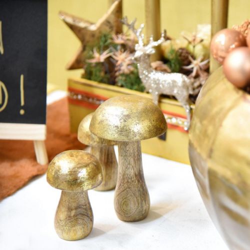 Floristik24 Champignon mangotræ guld, naturlig dekorativ svamp Ø6cm H10cm 4stk