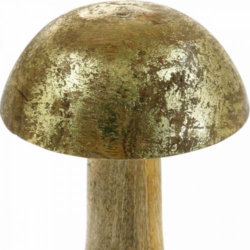 Floristik24 Champignon mango træ guld, naturlig dekorativ svamp Ø9cm H15,5cm 2stk